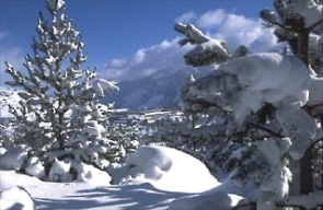 neige
